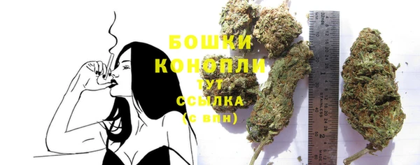 дурь Пестово