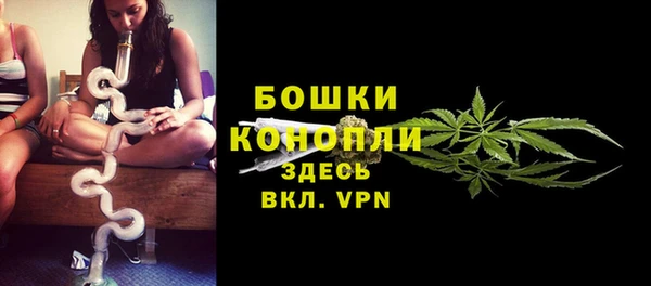 дурь Пестово