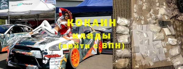 мдпв Пересвет