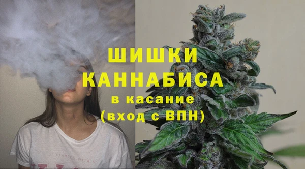 мдпв Пересвет