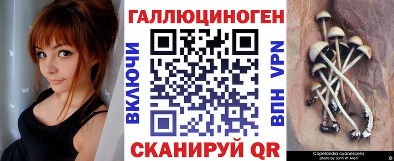 даркнет сайт  Приволжск  Псилоцибиновые грибы прущие грибы 